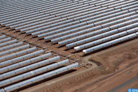 الإمارات .. كهرباء دبي تخطط للاستثمارات بنحو 11 مليار دولار في الطاقة النظيفة