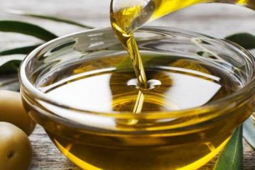 المجلس الدولي لزيت الزيتون  :يؤكد على أهمية شجرة الزيتون في مكافحة التغيرات المناخية