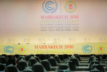 ما هو مؤتمر الأطراف COP؟