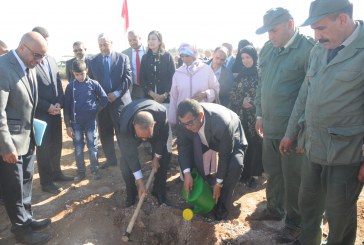 مصنع لافارح هولسيم مكناس يغرس ما يفوق 8 الف شجرة  في نصف يوم.