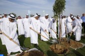 أسبوع التشجير: بلدية دبي توزع أكثر من 500 ألف شتلة زهور و50 ألف شجرة على عموم سكان إمارة دبي