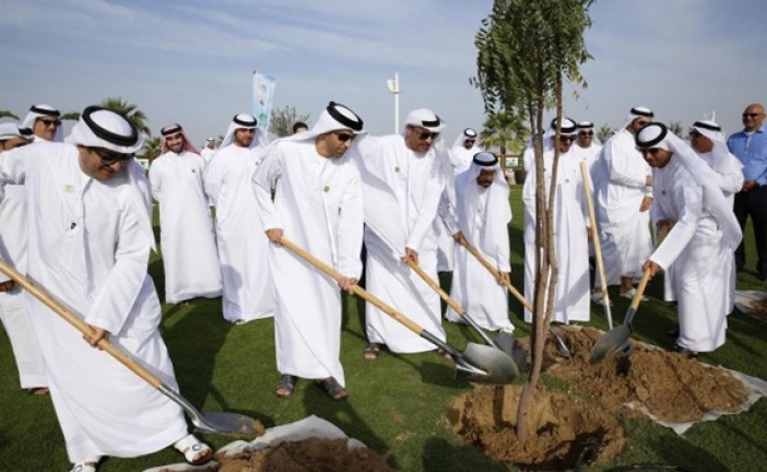 أسبوع التشجير: بلدية دبي توزع أكثر من 500 ألف شتلة زهور و50 ألف شجرة على عموم سكان إمارة دبي