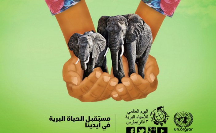 اليوم العالمي للأحياء البرية: مناسبة لتحسيس الشباب ومختلف الفاعلين بأهمية حماية النباتات