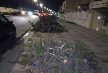 جريمة بيئية بمكناس