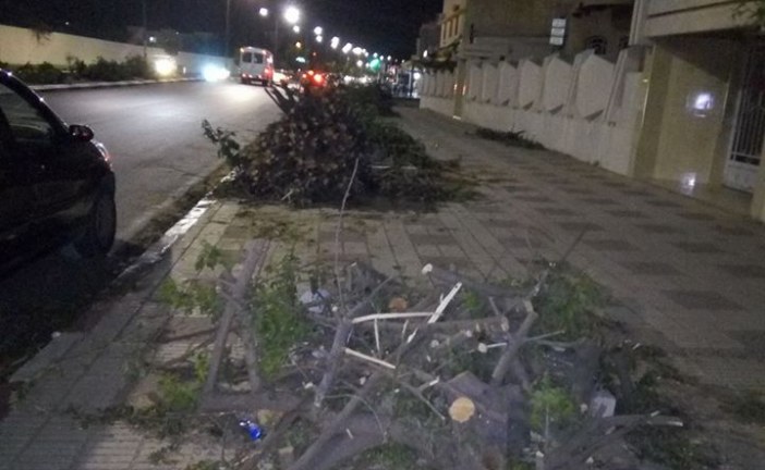 جريمة بيئية بمكناس