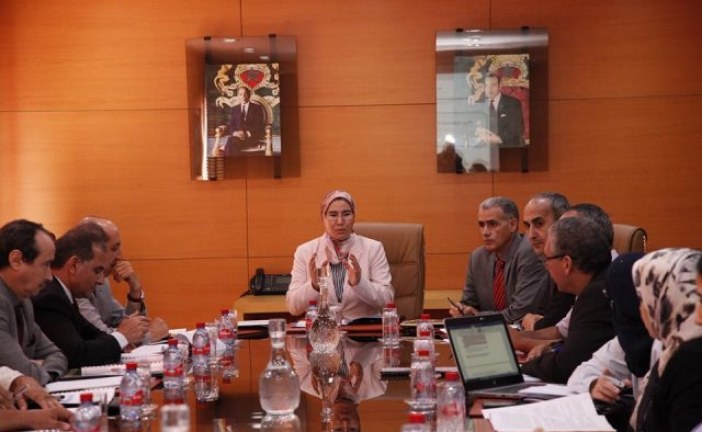 المجلس الإداري لمركز الكفاءات لتغير المناخ :    يعين  نزهة الوفي رئيسة للمركز، بصفتها كاتبة الدولة المكلفة بالتنمية المستدامة.