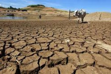 لقاء إقليمي بعمان لبحث بلورة استراتيجية لتعزيز العمل المناخي العربي