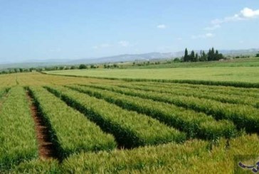 ترسيخ أسس التنمية المستدامة بالجهات:  ورشة انطلاق دراسة «المخطط الجهوي لحماية البيئة ومكافحة التغيرات المناخية”