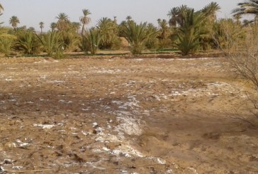 المنظمة الألمانية العالمية “جرمان واتش”: متوسط الخسائر الاقتصادية المتعلقة بالتدهور البيئي ومخاطر التغيرات المناخية في المغرب بلغت السنة الماضية ، حوالي مليار و300 مليون درهم.
