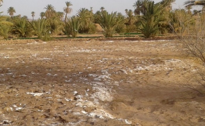 المنظمة الألمانية العالمية “جرمان واتش”: متوسط الخسائر الاقتصادية المتعلقة بالتدهور البيئي ومخاطر التغيرات المناخية في المغرب بلغت السنة الماضية ، حوالي مليار و300 مليون درهم.