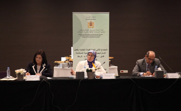 اجتماع لجنة القيادة لتنزيل مقتضيات الاستراتيجية الوطنية للتنمية المستدامة