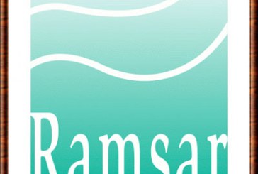20 خبيرا يمثلون البلدان المتوسطية لبحث ومناقشة التحضيرات ل ( كوب 13 ) الخاص باتفاقية ( رامسار )