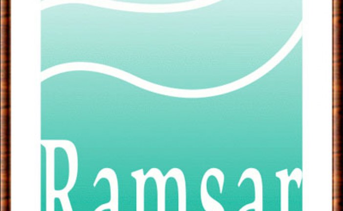 20 خبيرا يمثلون البلدان المتوسطية لبحث ومناقشة التحضيرات ل ( كوب 13 ) الخاص باتفاقية ( رامسار )