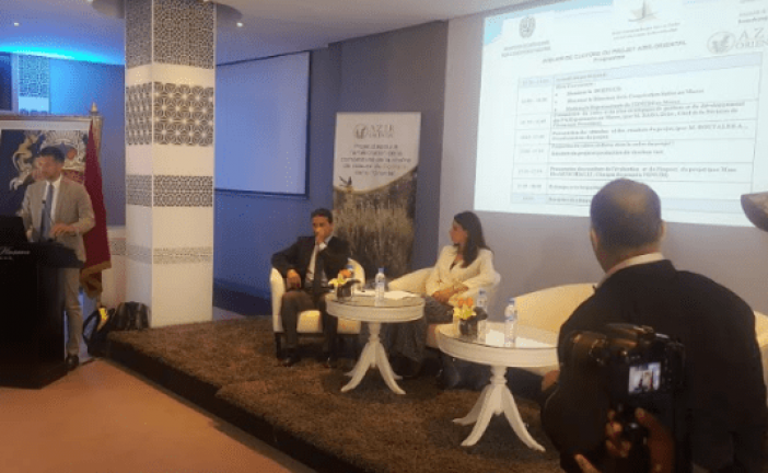 المندوبية السامية للمياه والغابات ومحاربة التصحر تعزز من أهمية نبتة إكليل الجبل-الزعتر بالمنطقة الشرقية
