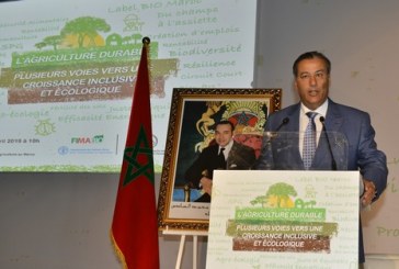 سيام2019.طارق السجلماسي، الرئيس المدير العام لمجموعة القرض الفلاحي، في ندوة حول “التنمية الفلاحية” :إنّ” المجموعة التي يترأسها تعملُ من خلال ثلاث مقاربات أساسية، وهي المقاربة البيئية والإنسانية والاقتصادية من أجل ترْسيخ التنمية والفلاحة المستدامة”