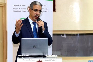 تطوير النجاعة الطاقية يتطلب الرفع من استثمارات القطاع الخاص