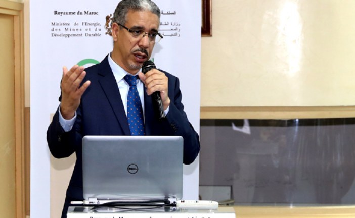 تطوير النجاعة الطاقية يتطلب الرفع من استثمارات القطاع الخاص