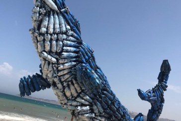 ادعم المحميات البحرية