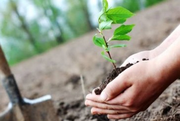 “الأسبوع الأخضر 2020 ” ب 25 مدينة ..