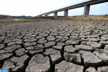 اليوم العالمي لمكافحة التصحر والجفاف.. المغرب يبرز الموقف الإفريقي المتعلق بالتدبير المستدام للأراضي