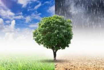 بلاغ صحفي:  مركز الكفاءات للتغير المناخييعزز دعمه لسياسات مكافحة التغير المناخي بالمغرب ولإفريقيا