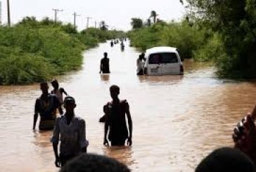 السودان :  الفيضانات الأخيرة  تؤثر على نحو ثلث الأراضي المزروعة