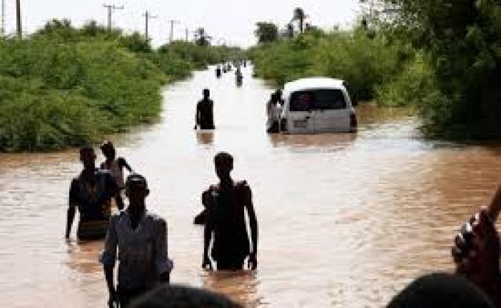 السودان :  الفيضانات الأخيرة  تؤثر على نحو ثلث الأراضي المزروعة