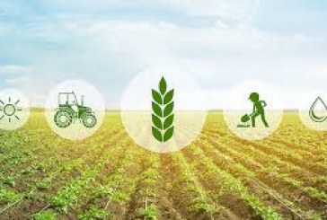 Le monde a besoin d’un organe scientifique de type GIEC pour guider la transformation des systèmes alimentaires, déclare un groupe de réflexion de premier plan