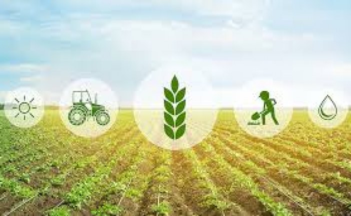 Le monde a besoin d’un organe scientifique de type GIEC pour guider la transformation des systèmes alimentaires, déclare un groupe de réflexion de premier plan