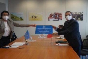 فيينا: تعيين المركز الوطني للطاقة والعلوم والتقنيات النووية كأول مركز أفريقي للتميز