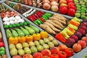طرق مباشرة إلى أوروبا الشرقية للفواكه والخضروات المغربية