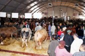 للمرة الثانية.. إلغاء نسخة 2021 من المعرض الدولي للفلاحة بالمغرب
