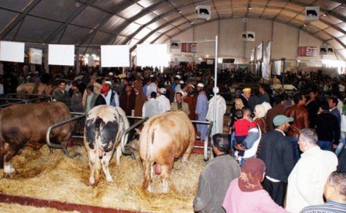 للمرة الثانية.. إلغاء نسخة 2021 من المعرض الدولي للفلاحة بالمغرب