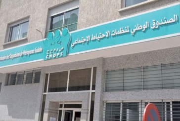 “كنوبس”: إعفاء زوجات المؤَمنين وأزواج المؤَمنات من شهادة عدم العمل