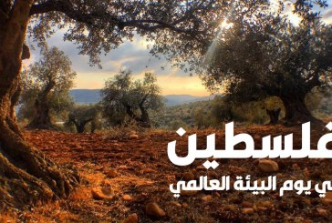 النكبة البيئية.. نكبتنا التي لا نعرفها