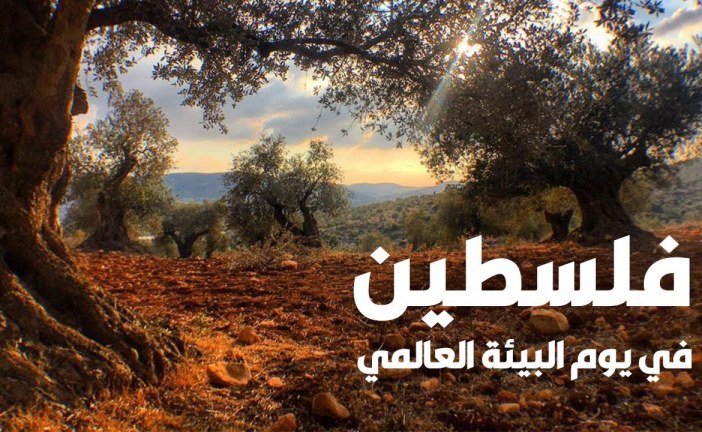النكبة البيئية.. نكبتنا التي لا نعرفها