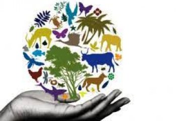 أبيكورب تخصص مليار دولار لدعم المشروعات الخضراء في الشرق الأوسط