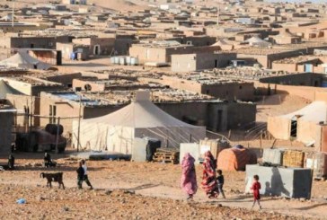 نائب إيطالي يستنكر اختلاس مساعدات المحتجزين في مخيمات تندوف