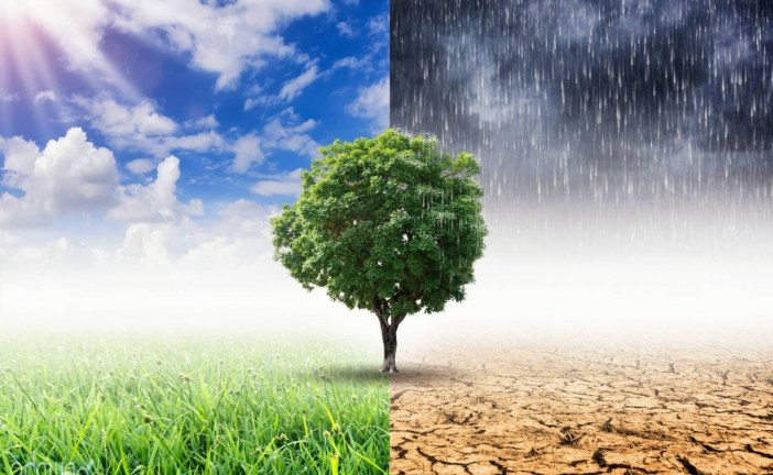 كوب-26.. عرض نتائج دراسة حول تصورات المواطنين الأفارقة بشأن تداعيات تغير المناخ