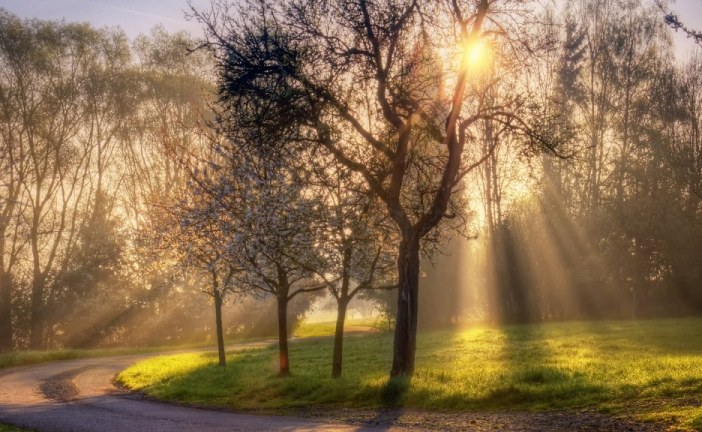 سويسرا .. نجاح الدورة ال26 لمؤتمر الأطراف للأمم المتحدة أو فشله يبقى مرهونا بالقرارات الجماعية