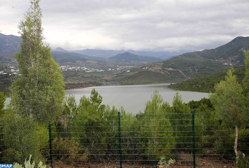 جهة طنجة-تطوان-الحسيمة : المخزون المائي بسدود الجهة يصل إلى 902 مليون متر مكعب