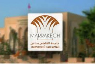 مختبر علمي بجامعة القاضي عياض يبتكر حلا جذريا لمعضلة «المرجان»