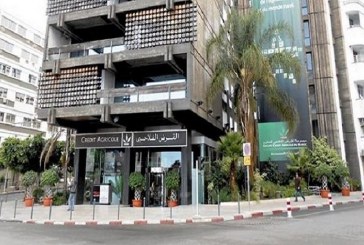 مكافحة آثار الجفاف.. القرض الفلاحي للمغرب يعبئ 6 ملايير درهم