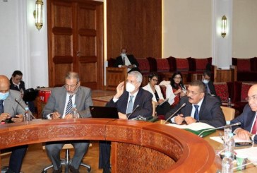 فرق برلمانية : البرنامج الاستثنائي يكتسي أهمية بالغة في دعم القطاع الفلاحي