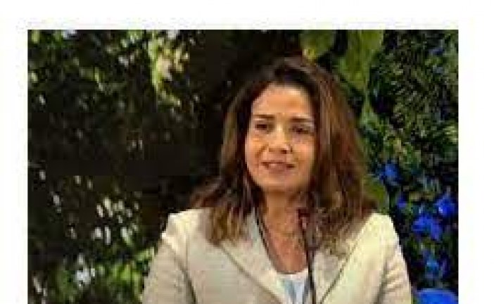 Madame la Ministre présente l’expérience du Maroc en matière de lutte  contre le plastique
