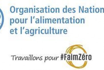 Rabat illuminée à l’occasion de la Journée mondiale de l’Alimentationet du 40ème anniversaire de l’ouverture de la Représentation de la FAO à Rabat (communiqué de presse