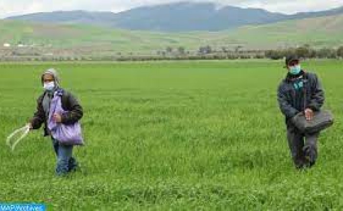 الدار البيضاء: نقاش حول الحلول المستدامة لإشكالية تمويل الأسمدة في إفريقيا