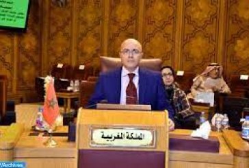 المغرب يدعو إلى تحرك عربي سريع لمواجهة التحديات البيئية في المنطقة العربية‎‎