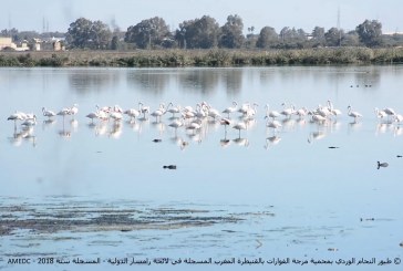 مائدة مستديرة علمية بمناسبة اليوم العالمي للأراضي الرطبة بالقنيطرة