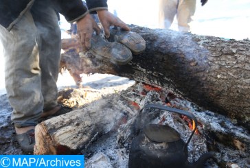 درجات الحرارة الدنيا والعليا المرتقبة غدا الخميس